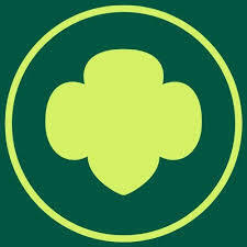 Team Page: Troop 54100